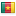 Flag of Cameroon
