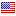 Flag of United States