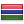 Flag of Gambia