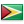 Flag of Guyana