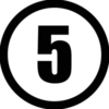 Team 5