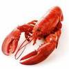LobsterRollers