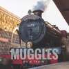 Muggles on a Train