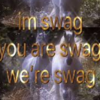 swag