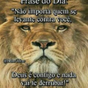 Leões do Pré-game