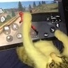 Gatinho Jogando Free Fire