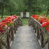 flower bridge but in canto