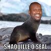 Shaquille O'Seal