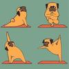 Master Yoga