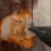 Charred Cats