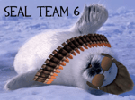 The Seal Team 6