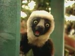 Zaboomacrew