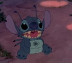Ohana Means Family