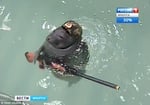 Seal Squad