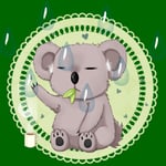 Koalas in the Rain