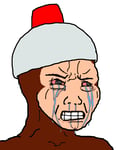 formerly ape escape