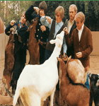 Discount Petting Zoo