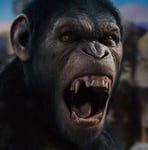 Simian Aggression