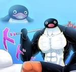 Carrier Penguins