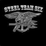 Steel Team 6