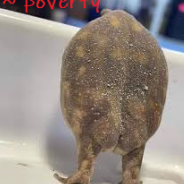 Poverty