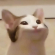 idk lads give me team name ideas