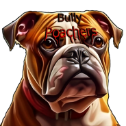 Bully Poachers