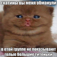 Азейрбаджане Прайм