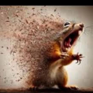 RAT reborn