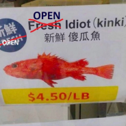 open idiots (kinki)