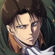 Commander Levi's Squad