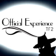 Experience