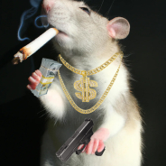 Rat Gang: Bricked Up