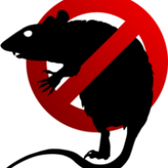 Pest Control