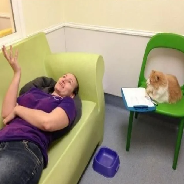 Psychology Help Center