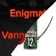 Enigmatic Vibers