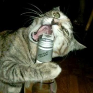 Vodka Enthusiasts.