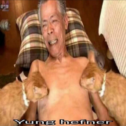 animal planet
