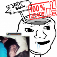 Open Brain