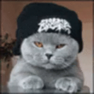 catface clan
