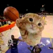 I can't juuuump