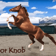Door Knob