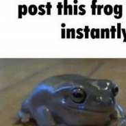 Frogs R Orsome Gang