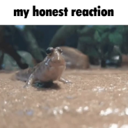 Mudskipper fan club