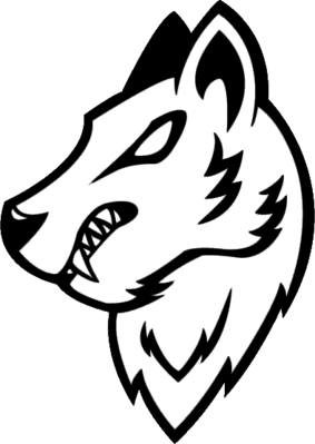 UNM Silver