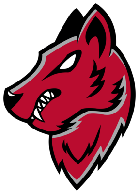 UNM Esports
