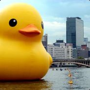 10-4 Rubber Ducky