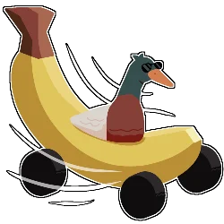 ducks can drive
