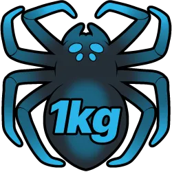 1 Kilogram of Spiders