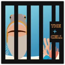 The Cell